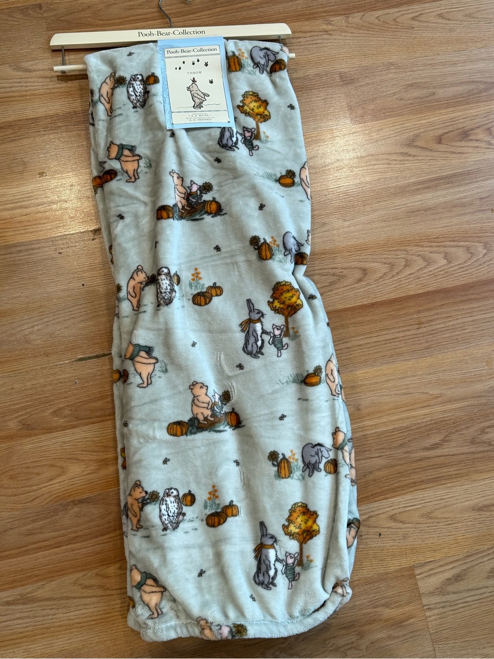 Winnie the Pooh fall/autumn throw blanket